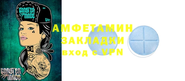 хмурый Алексин