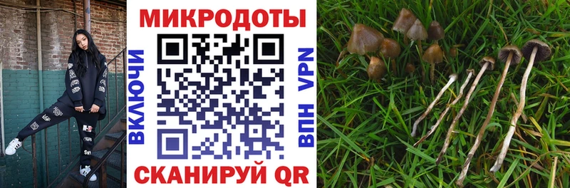 как найти   Нальчик  Галлюциногенные грибы MAGIC MUSHROOMS 